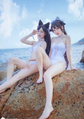 免费看视频的软件_DVD在线观看电视